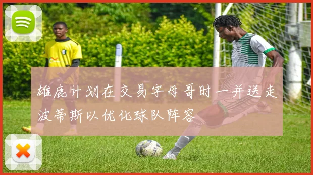 雄鹿计划在交易字母哥时一并送走波蒂斯以优化球队阵容